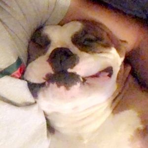 Meet your Posher, Abel